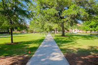 Le campus vert