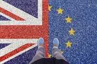 Un homme debout sur les drapeaux de l'union européenne et du Royaume-Uni. drapeau, union européenne, union flag, basket