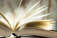 livre ouvert CAF de Roanne
