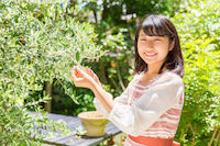 Jeune fille souriante coupant des feuilles Fille arbre sourire jeune couper feuilles
