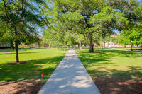 parc avec verdure Le campus vert