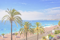 Plage à Nice nice palmier plage